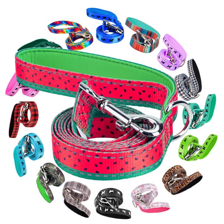 EcoBark Watermelon Dog Leash- Padded Comfort Grip Leash - 4ft, 5ft, and 6ft Leash for Small and Medium Dogs