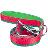 EcoBark Watermelon Dog Leash- Padded Comfort Grip Leash - 4ft, 5ft, and 6ft Leash for Small and Medium Dogs