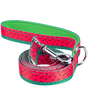 EcoBark Watermelon Dog Leash- Padded Comfort Grip Leash - 4ft, 5ft, and 6ft Leash for Small and Medium Dogs