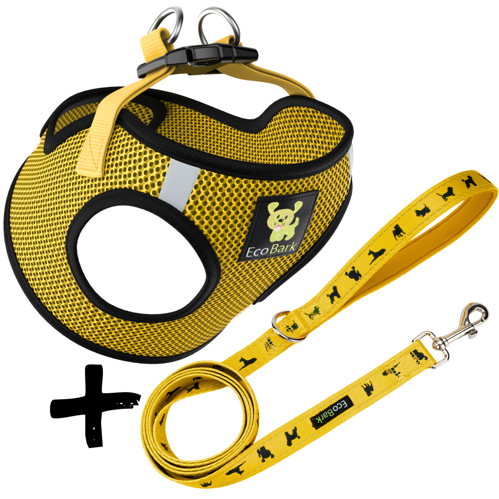 Step In Dog Harness & Leash Set - For Teacup & Small Dogs