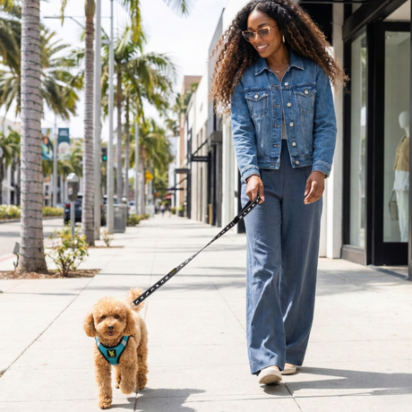 EcoBark Step In Dog Harness - Teacup & Small Breeds- Reflective Soft Mesh Harness for Teacup, Small Dogs and Puppies / Aqua Sport EcoBark Pet Supplies