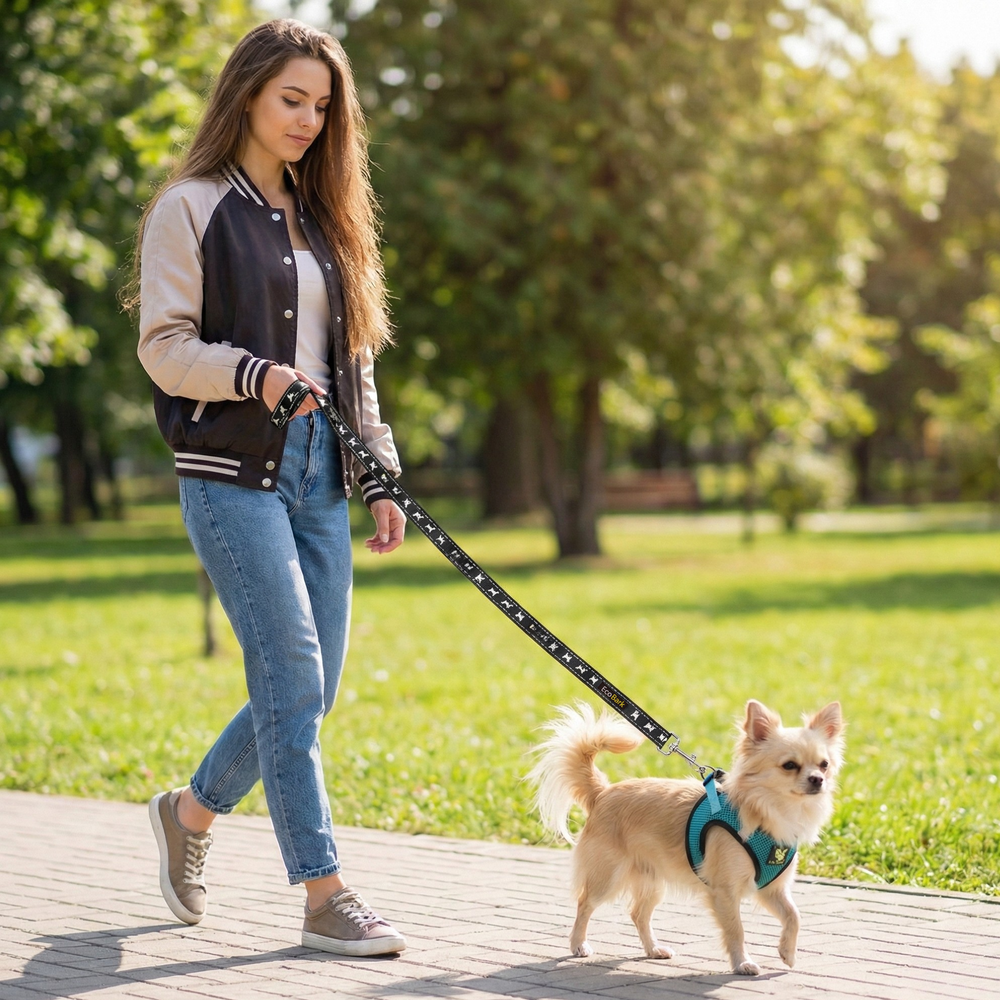 EcoBark Step In Dog Harness - XXXS to Small Breeds- Reflective Soft Mesh Harness for Teacup, Small Dogs and Puppies / Aqua Sport