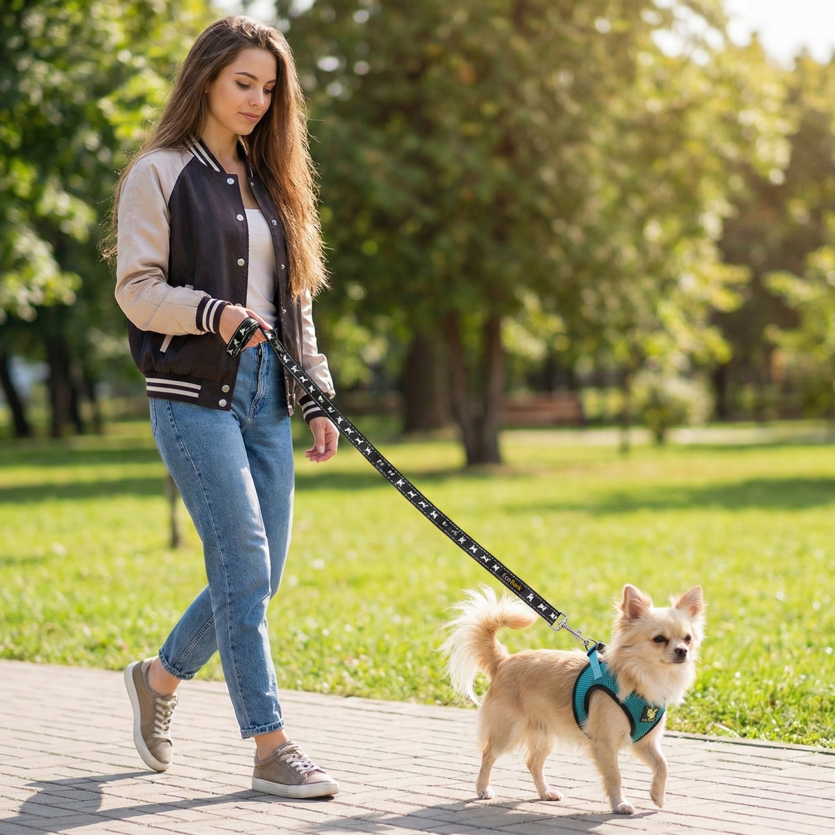 EcoBark Step In Dog Harness - XXXS to Small Breeds- Reflective Soft Mesh Harness for Teacup, Small Dogs and Puppies / Aqua Sport