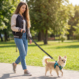 EcoBark Step In Dog Harness - XXXS to Small Breeds- Reflective Soft Mesh Harness for Teacup, Small Dogs and Puppies / Aqua Sport