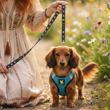 EcoBark Step In Dog Harness - XXXS to Small Breeds- Reflective Soft Mesh Harness for Teacup, Small Dogs and Puppies / Aqua Sport