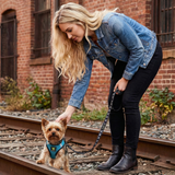 EcoBark Step In Dog Harness - XXXS to Small Breeds- Reflective Soft Mesh Harness for Teacup, Small Dogs and Puppies / Aqua Sport