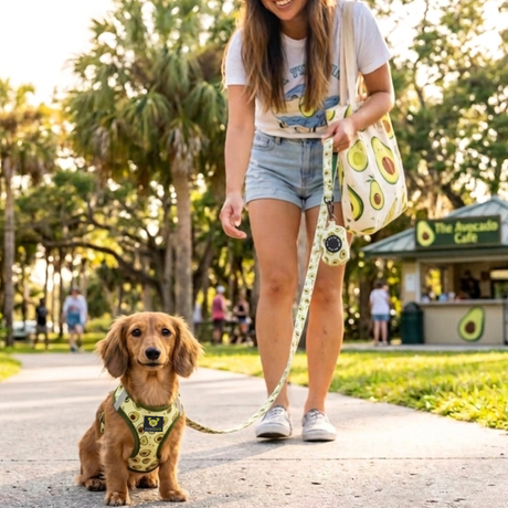 Avocado Dog Harness - Teacup & Small Breeds- Step-In Reflective Soft Harness for Teacup, Small Dogs and Puppies / Avocado EcoBark Pet Supplies