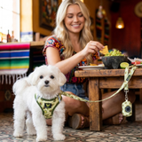 Avocado Dog Leash - Comfort Grip Padded Leash - 4ft, 5ft, and 6ft Dog Leash for Small and Medium Dogs