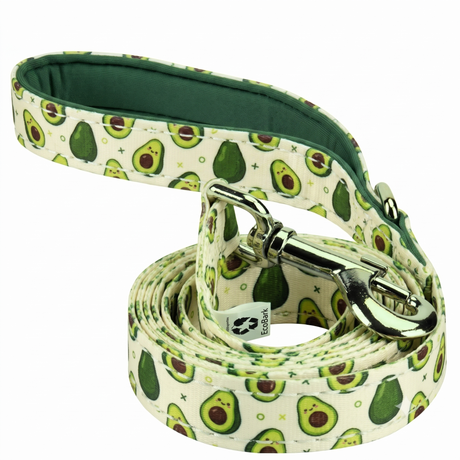 Avocado Dog Leash - Comfort Grip Padded Leash - 6ft Dog Leash for Small and Medium Dogs EcoBark Pet Supplies
