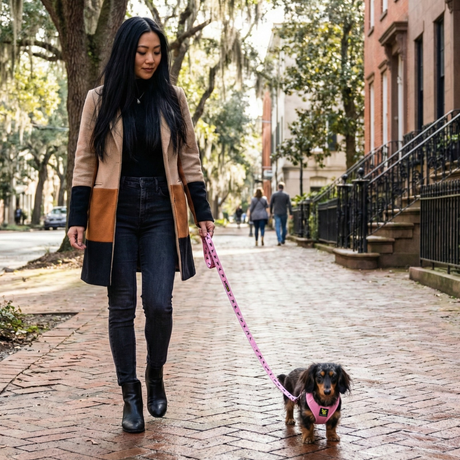 A woman in a stylish tri-color coat walking a long-haired miniature Dachshund wearing a Baby Pink EcoBark harness and matching leash on a brick-paved city sidewalk.