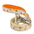 Bee Dog Leash - Comfort Grip Padded Leash - 6ft Dog Leash for Small and Medium Dogs EcoBark Pet Supplies