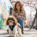 EcoBark Step In Dog Harness - XXXS to Small Breeds- Reflective Soft Mesh Harness for Teacup, Small Dogs and Puppies / Black w/ Teal Piping