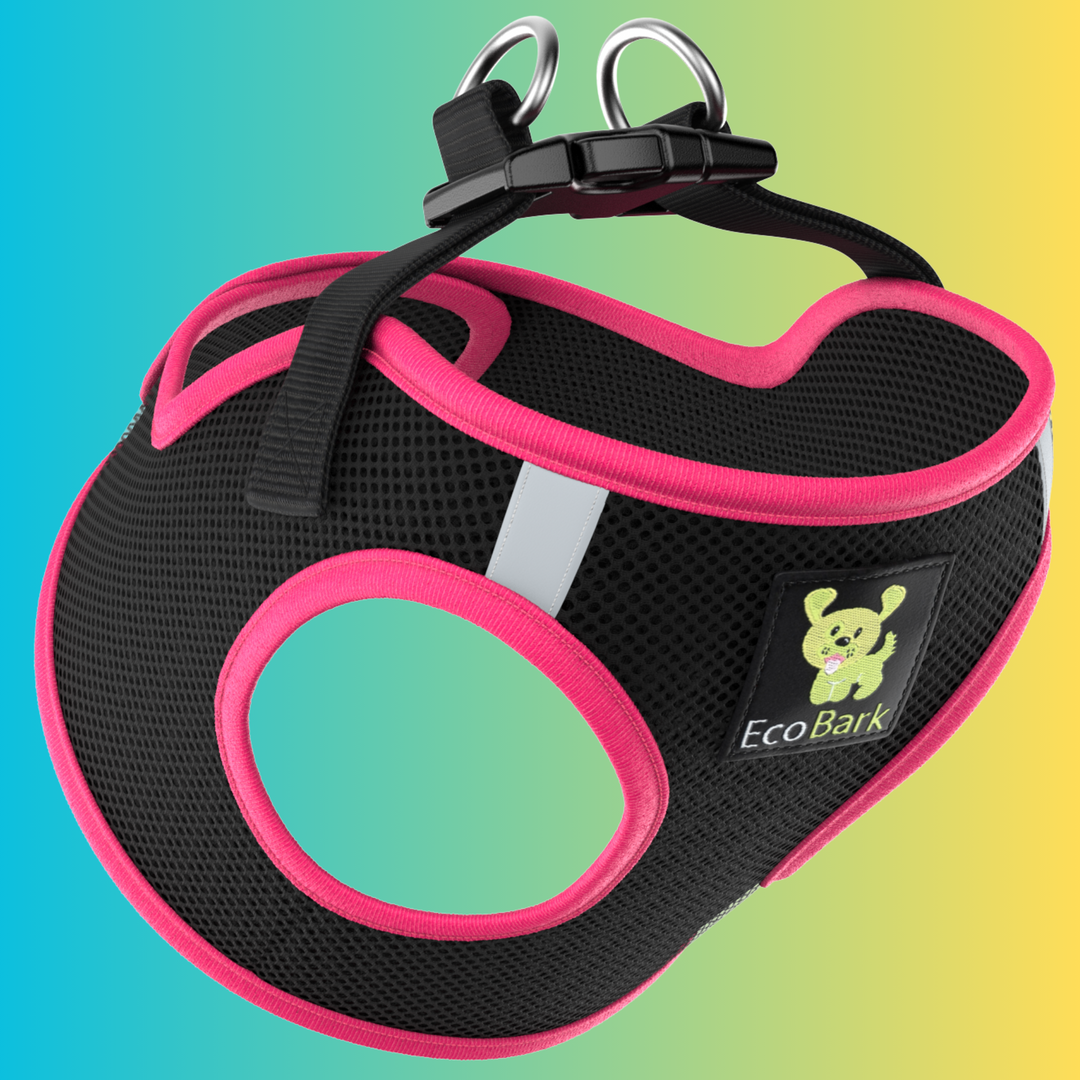 Teacup harness sales