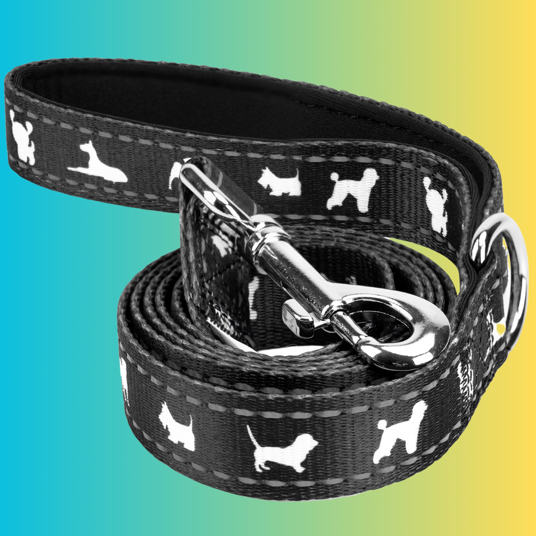 Off white belt for dogs online