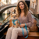 EcoBark Step In Dog Harness - XXXS to Small Breeds- Reflective Soft Mesh Harness for Teacup, Small Dogs and Puppies / Sky Blue