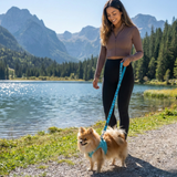 EcoBark Step In Dog Harness - XXXS to Small Breeds- Reflective Soft Mesh Harness for Teacup, Small Dogs and Puppies / Sky Blue