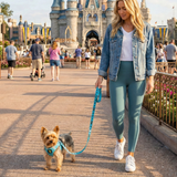 EcoBark Step In Dog Harness - XXXS to Small Breeds- Reflective Soft Mesh Harness for Teacup, Small Dogs and Puppies / Sky Blue