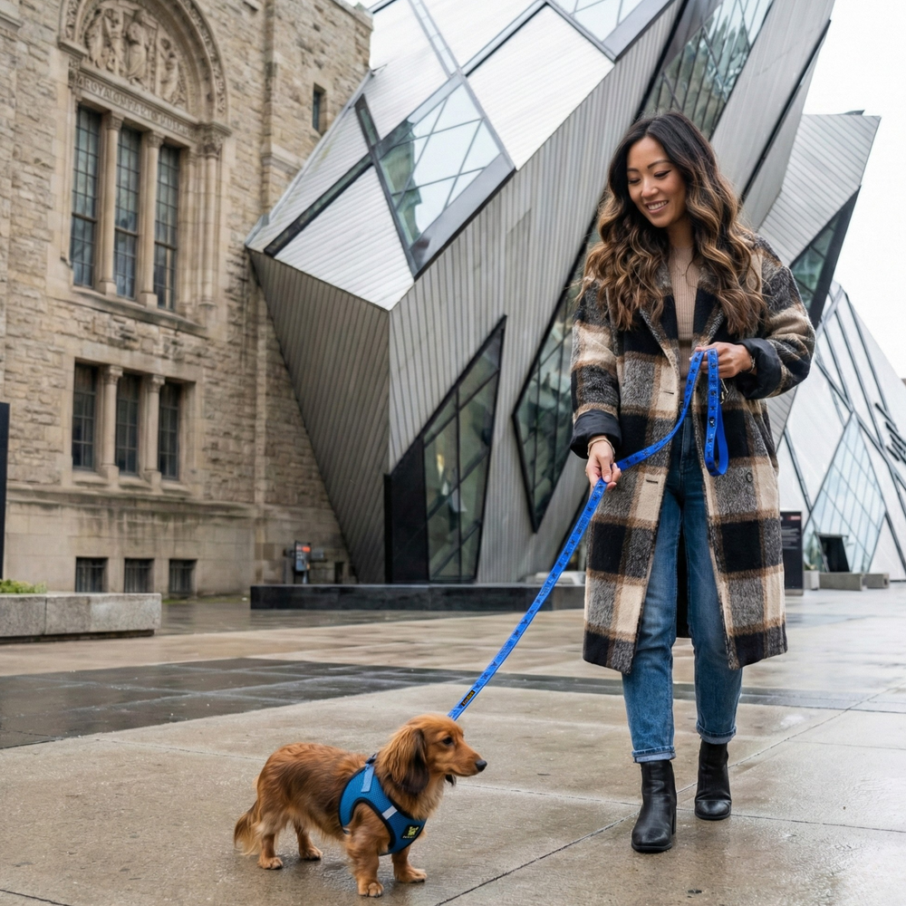 EcoBark Step In Dog Harness - XXXS to Small Breeds- Reflective Soft Mesh Harness for Teacup, Small Dogs and Puppies / Bright Blue Sport