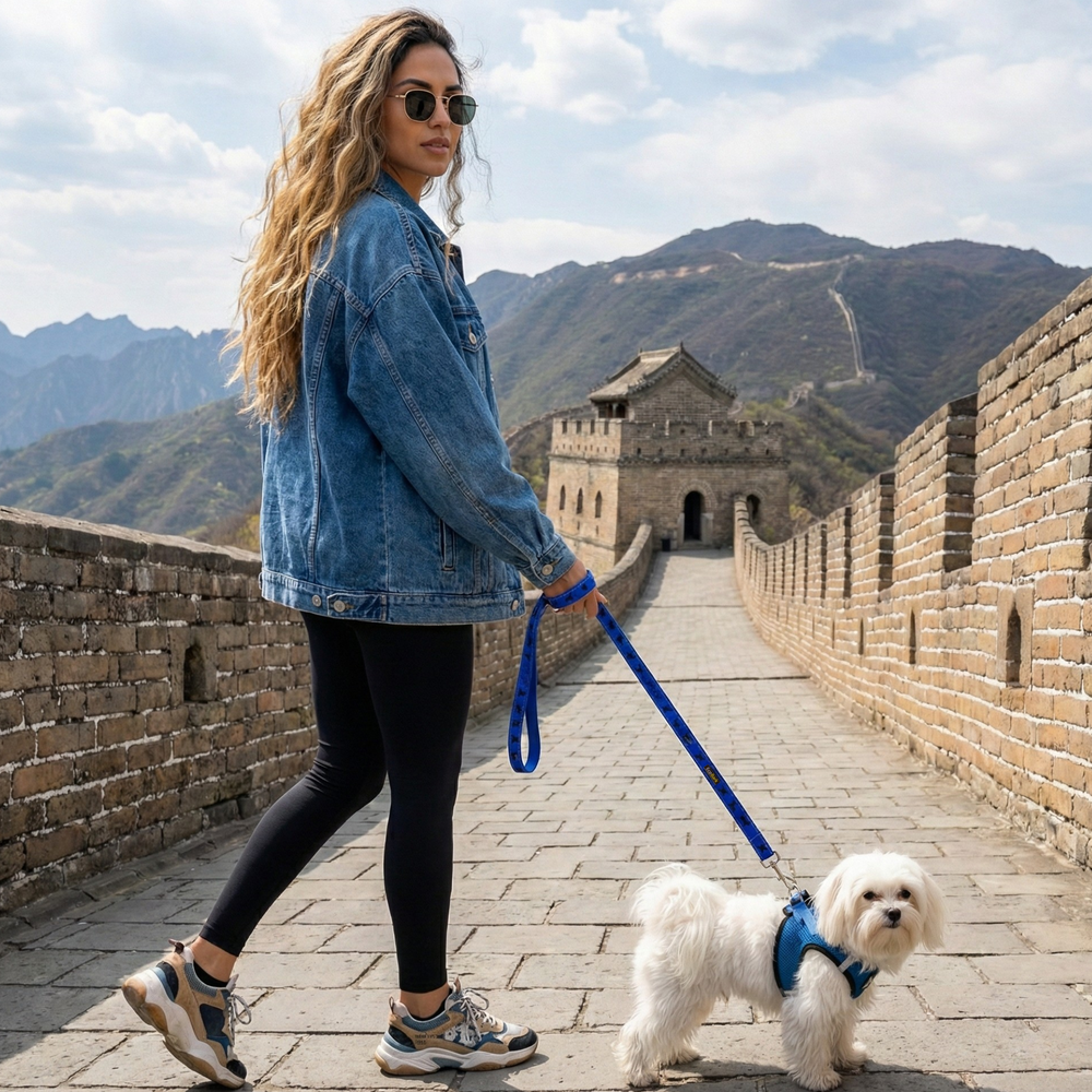 EcoBark Step In Dog Harness - XXXS to Small Breeds- Reflective Soft Mesh Harness for Teacup, Small Dogs and Puppies / Bright Blue Sport