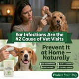 Infographic for EcoBark Natural Dog Ear Wipes featuring a golden dog and a Beagle. Text reads: 'Ear Infections Are the #2 Cause of Vet Visits. Prevent It at Home — Naturally.' Listed benefits include: Vet Recommended, Daily Use Safe, Aloe & Chamomile, and Coconut Scented. A button at the bottom says 'Protect Your Pup.'