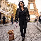 Glamour Dog Harness - Teacup & Small Breeds- Step-In Reflective Soft Harness for Teacup, Small Dogs and Puppies / Glamour
