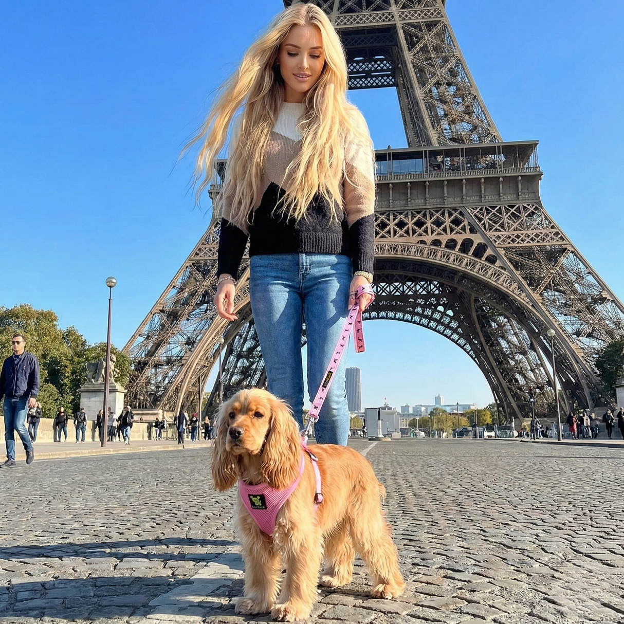 EcoBark Baby Pink Dog Harness- Over-the-Head Soft Mesh Halter Vest for Small to Medium Dogs and Puppies