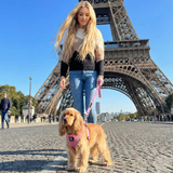 EcoBark Baby Pink Dog Harness- Over-the-Head Soft Mesh Halter Vest for Small to Medium Dogs and Puppies