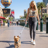 EcoBark Gray Dog Leash- Padded Comfort Grip Leash - 4ft, 5ft, and 6ft Leash for Small and Medium Dogs