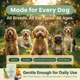 Infographic for EcoBark Natural Dog Ear Wipes featuring five different dog breeds (including a Spaniel, Golden Retriever, and French Bulldog) in a grassy field. Text reads: 'Made for Every Dog. All Breeds. All Ear Types. All Ages.' and 'Gentle Enough for Daily Use.' Icons highlight benefits: Cleans, Soothes, Ear Infection Prevention, and Plant-Based.