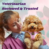 Veterinarian Reviewed & Trusted infographic featuring a woman holding a small toy poodle wearing a Baby Pink EcoBark mesh step-in harness against a colorful leafy background