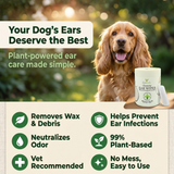 Infographic for EcoBark Dog Ear Wipes featuring a Cocker Spaniel and a tub of finger wipes. Text reads: 'Your Dog's Ears Deserve the Best. Plant-powered ear care made simple.' Icons highlight 6 benefits: Removes Wax & Debris, Helps Prevent Ear Infections, Neutralizes Odor, 99% Plant-Based, Vet Recommended, and No Mess, Easy to Use.