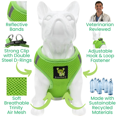 Infographic detailing the features of the lime green EcoBark step-in dog harness on a white dog model. Features include reflective bands, a strong clip with double steel D-rings, soft breathable Trinity air mesh, an adjustable hook and loop fastener, and it is made with sustainable recycled materials and reviewed by veterinarians.