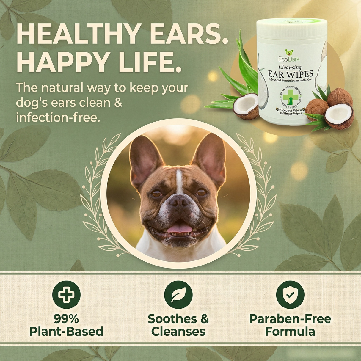 Infographic for EcoBark Cleansing Dog Ear Wipes featuring a French Bulldog. Text highlights: 'Healthy Ears. Happy Life. The natural way to keep your dog's ears clean & infection-free.' Icons at the bottom indicate the product is 99% Plant-Based, Soothes & Cleanses, and has a Paraben-Free Formula.