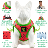 Infographic showing a small white frenchie model wearing an EcoBark watermelon mesh step-in dog harness. Text highlights features including reflective bands, a strong clip with double steel D-rings, soft breathable Trinity air mesh, an adjustable hook and loop fastener, eco-friendly sustainable eco-friendly recycled materials, and veterinarian-reviewed design.