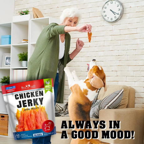 Chicken Jerky Dog Treats 1.5 Lb Human Grade Pet Snacks Grain Free Organic Meat All Natural High Protein Dried Strips Best Chews For Training Small & Large Dogs EcoBark Pet Supplies