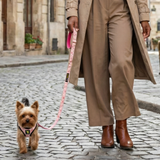 A small teacup 5 lb Yorkshire Terrier wearing a French Floral EcoBark step-in harness being walked on a pink leash by a woman in tan trousers and a trench coat on a cobblestone city street.