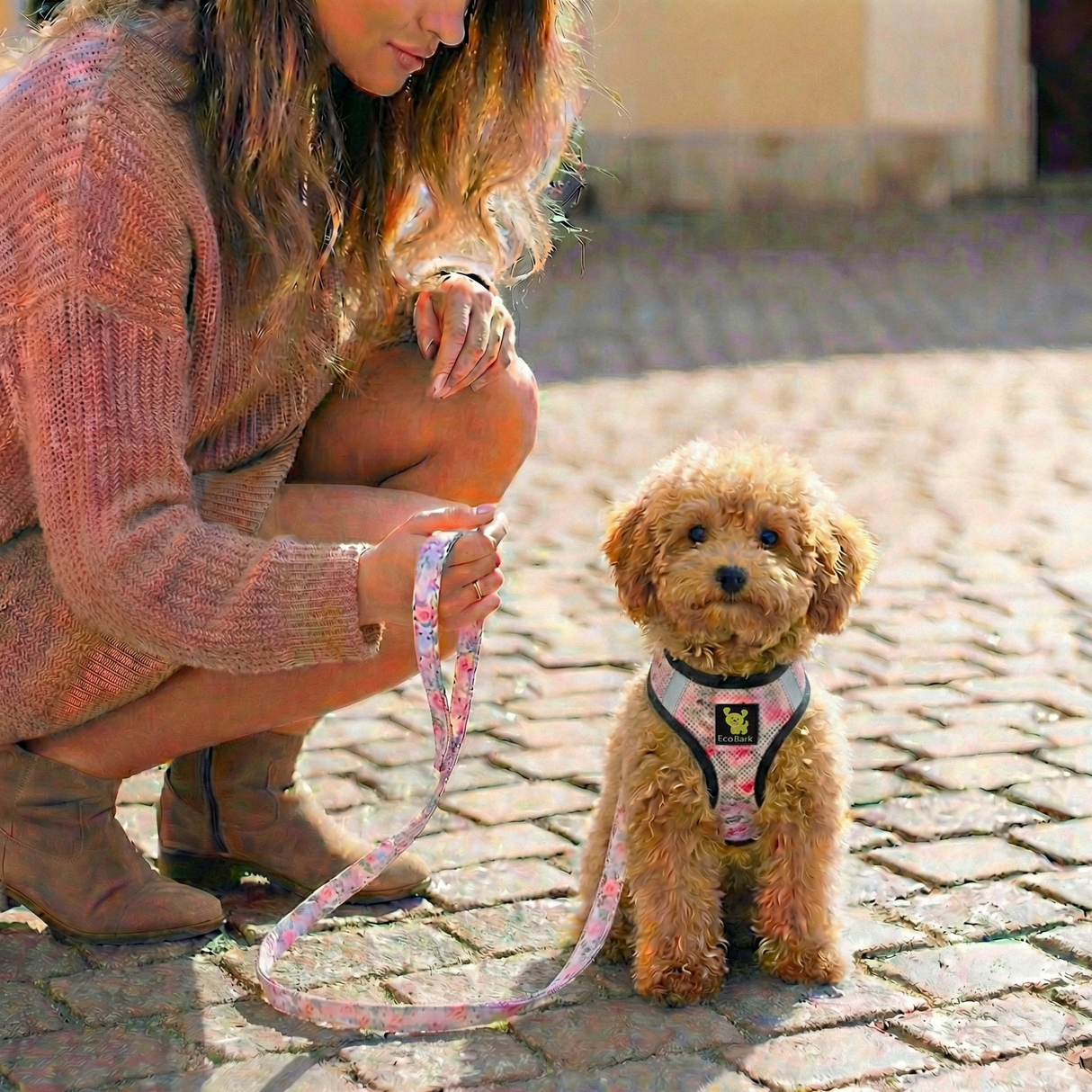 Step In Dog Harness & Leash Set - For Teacup & Small Dogs