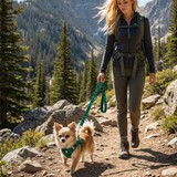 EcoBark Forest Green Dog Leash- Padded Comfort Grip Leash - 4ft, 5ft, and 6ft Leash for Small and Medium Dogs