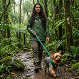 EcoBark Forest Green Dog Harness - Over-the-Head Vest Halter Soft Mesh for Small to Medium Dogs