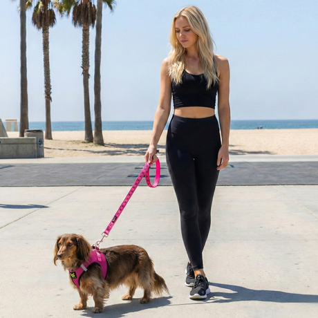 EcoBark Fuchsia Step In Dog Harness - Reflective Soft Mesh Harness for Teacup, Small Dogs and Puppies / Fuchsia Sport EcoBark Pet Supplies