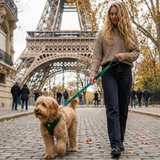 EcoBark Forest Green Dog Harness - Over-the-Head Vest Halter Soft Mesh for Small to Medium Dogs