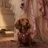Glamour Dog Harness - Teacup & Small Breeds- Step-In Reflective Soft Harness for Teacup, Small Dogs and Puppies / Glamour