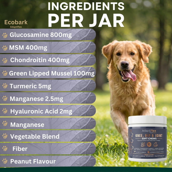 Coming Soon: The World's First Knee & Joint Supplement for Dogs with Glucosamine, Chondroitin, and MSM EcoBark Pet Supplies