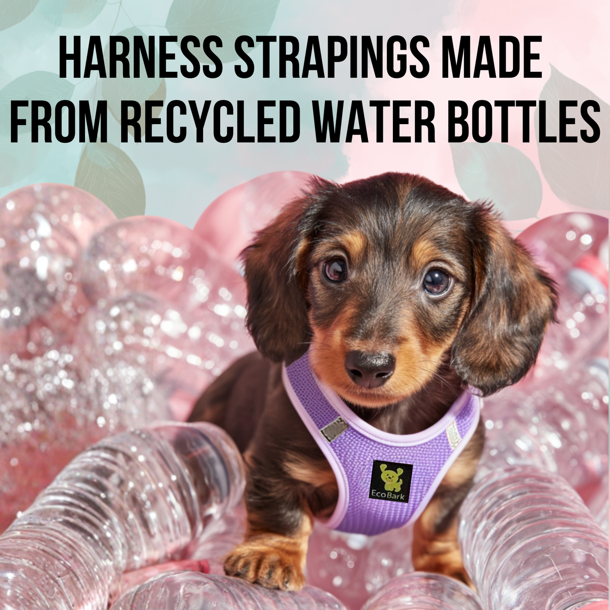 Mini Dachshund wearing a tiny dog harness in lavender, surrounded by recycled water bottles with text about harness strapings made from recycled water bottles.