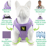 Infographic showing features of the Lavender EcoBark Step-In Dog Harness, highlighting: Veterinarian Reviewed design, Made with Sustainable Recycled Materials, Reflective Bands, and Soft Breathable Trinity Air Mesh.