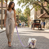 5 lb white Maltese dog walking in a Lavender EcoBark Step-In teacup dog harness and matching leash on a historic cobblestone street with a horse carriage.
