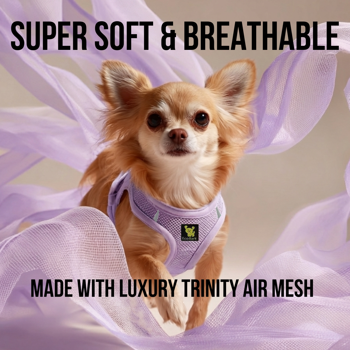 Long-haired teacup Chihuahua wearing a Lavender EcoBark Step-In teacup Dog Harness, highlighting text: 'Super Soft & Breathable' and 'Made with Luxury Trinity Air Mesh'.