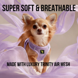 Long-haired teacup Chihuahua wearing a Lavender EcoBark Step-In teacup Dog Harness, highlighting text: 'Super Soft & Breathable' and 'Made with Luxury Trinity Air Mesh'.