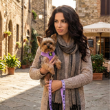 EcoBark Lavender Dog Harness - Over-the-Head Soft Mesh Vest Halter for XS to Medium Breed Dogs