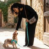EcoBark Mint Turquoise Dog Leash - Comfort Grip Padded Leash - 4ft, 5ft, and 6ft Dog Leash for Small and Medium Dogs